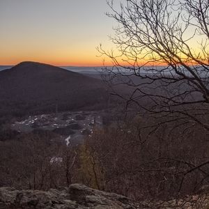 Meet your Posher, Bobby